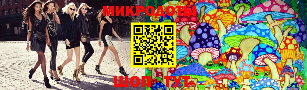 Галлюциногенные грибы Psilocybe Чернушка