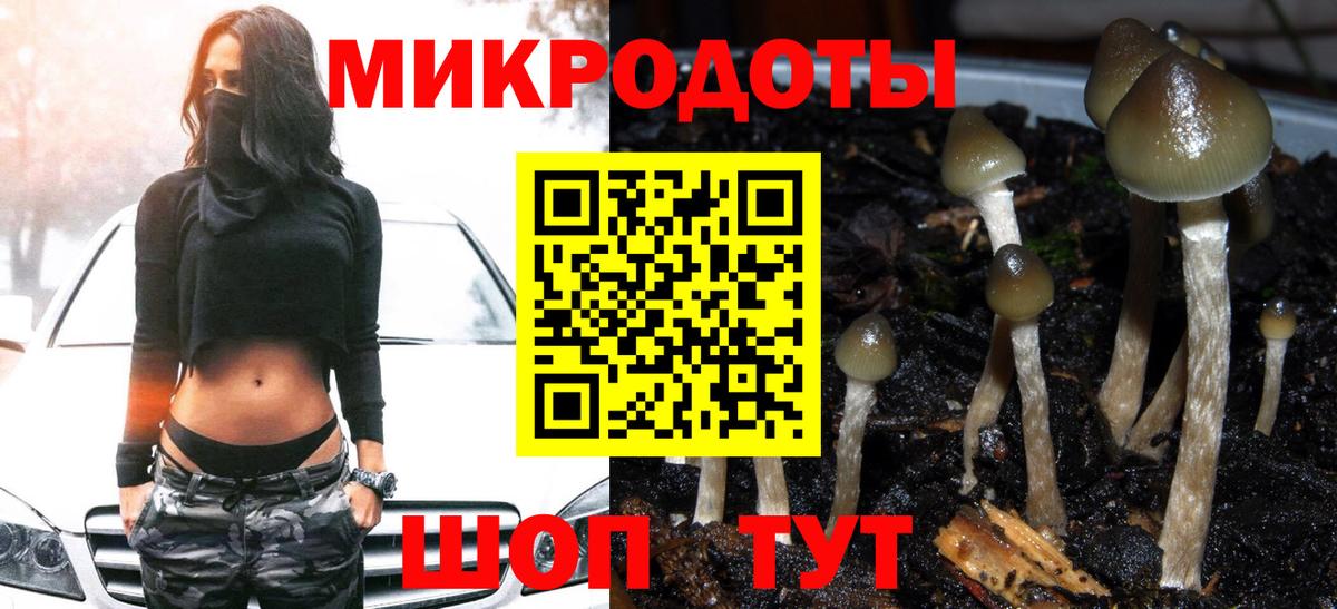 Чернушка  Галлюциногенные грибы MAGIC MUSHROOMS  купить наркотики цена  Вход с VPN 